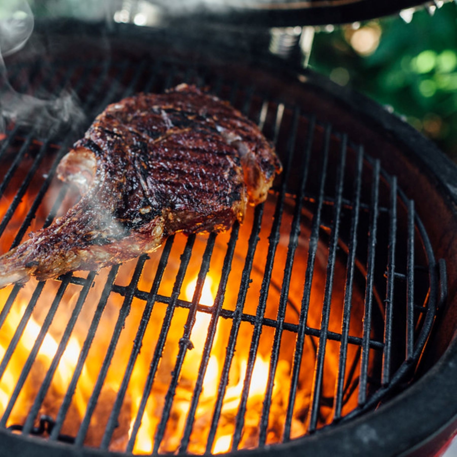 Kamado Joe Grill Grate 9 in. L X 18 in. W