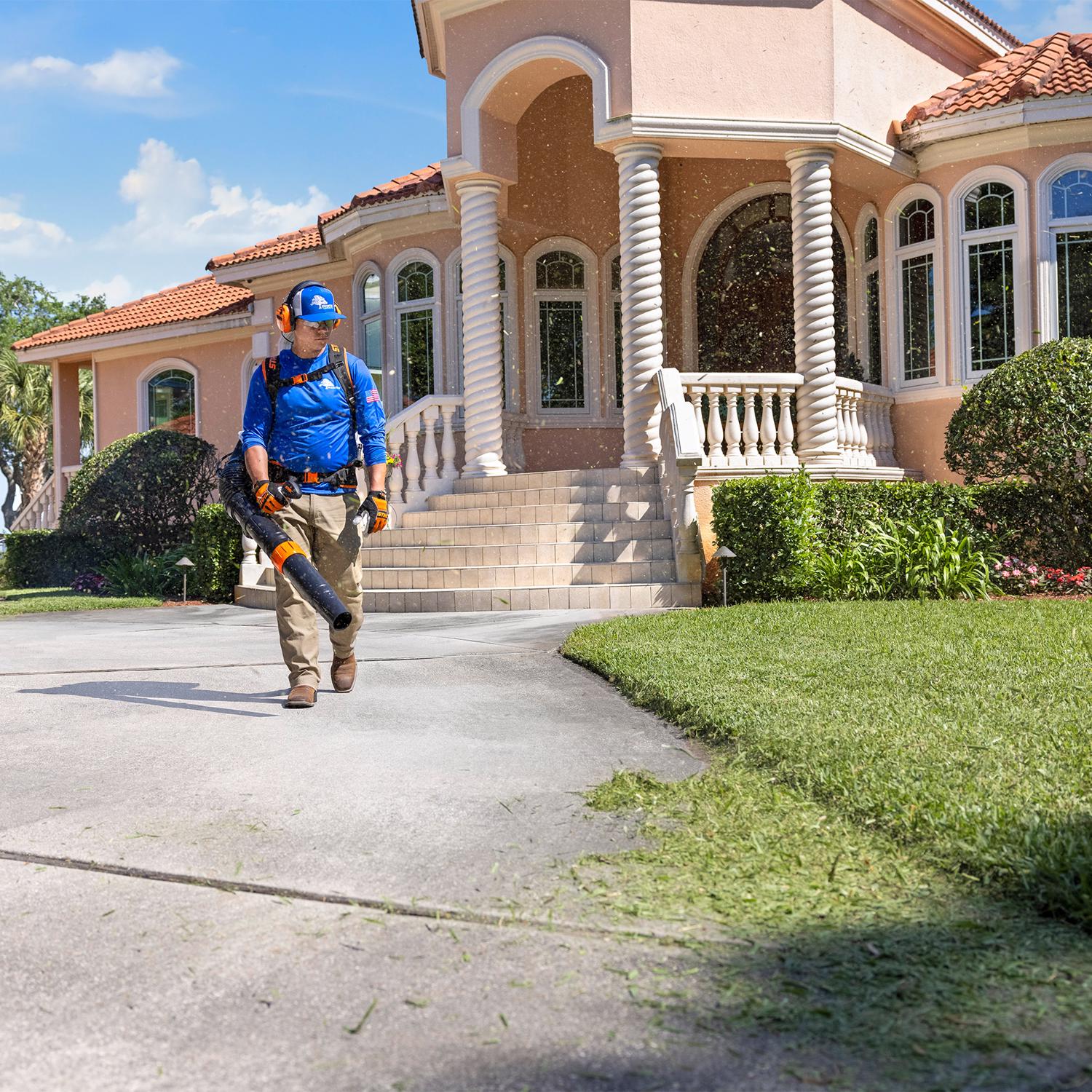 STIHL Magnum BR 800 C-E 239 mph 912 CFM Gas Backpack Leaf Blower