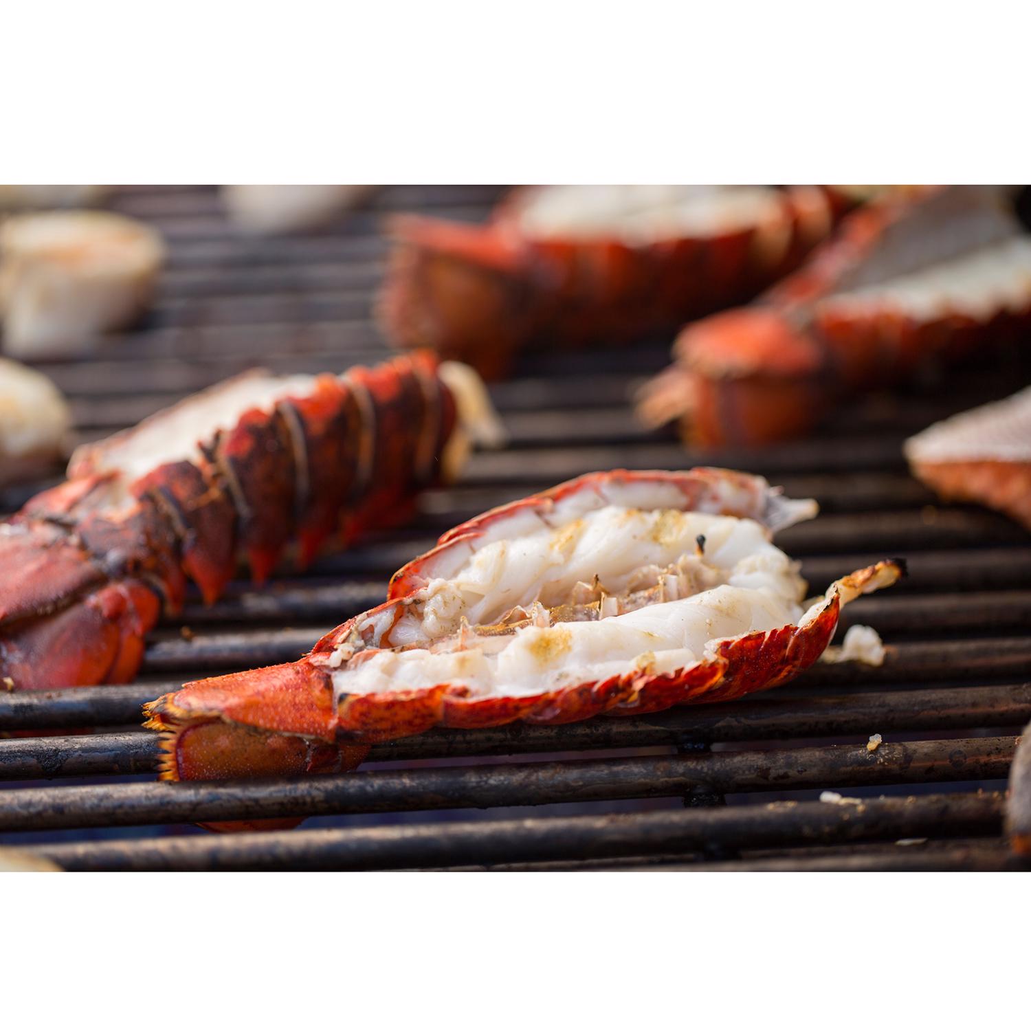 Weber Summit S-670 6 Burner Natural Gas Grill Stainless Steel