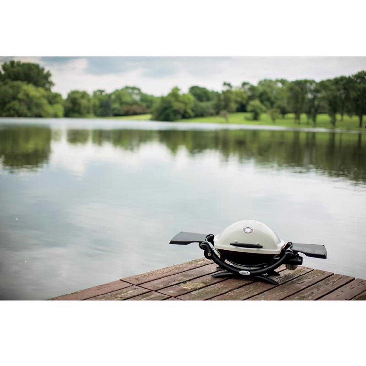 Weber Q1200 1 Burner Liquid Propane Grill Titanium