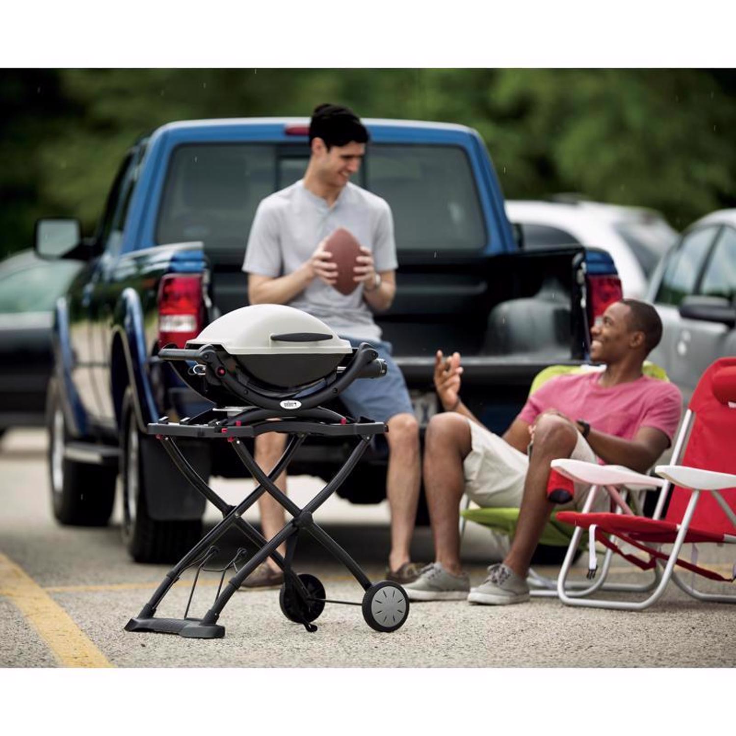 Weber Q1000 1 Burner Liquid Propane Grill Titanium