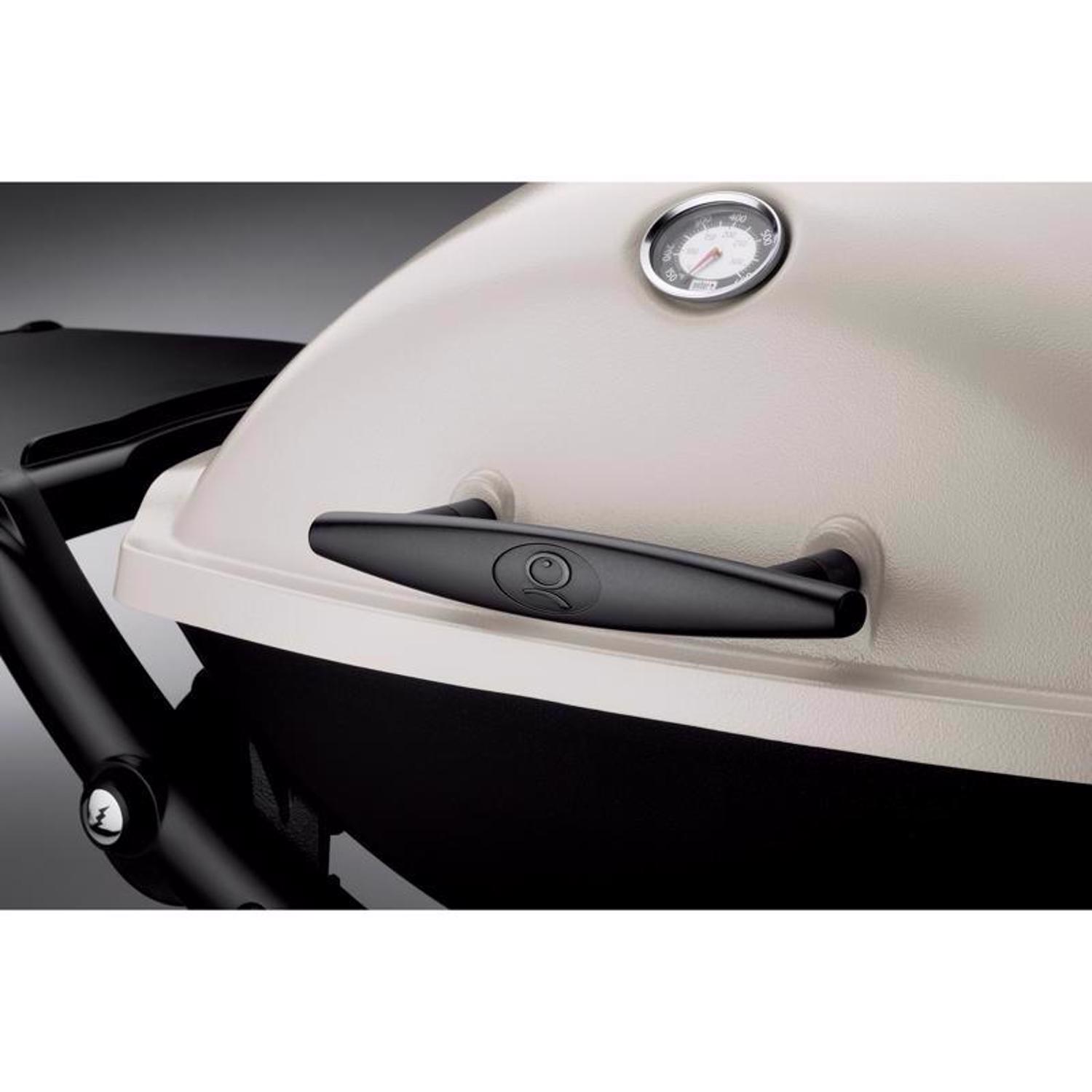 Weber Q2200 1 Burner Liquid Propane Grill Titanium