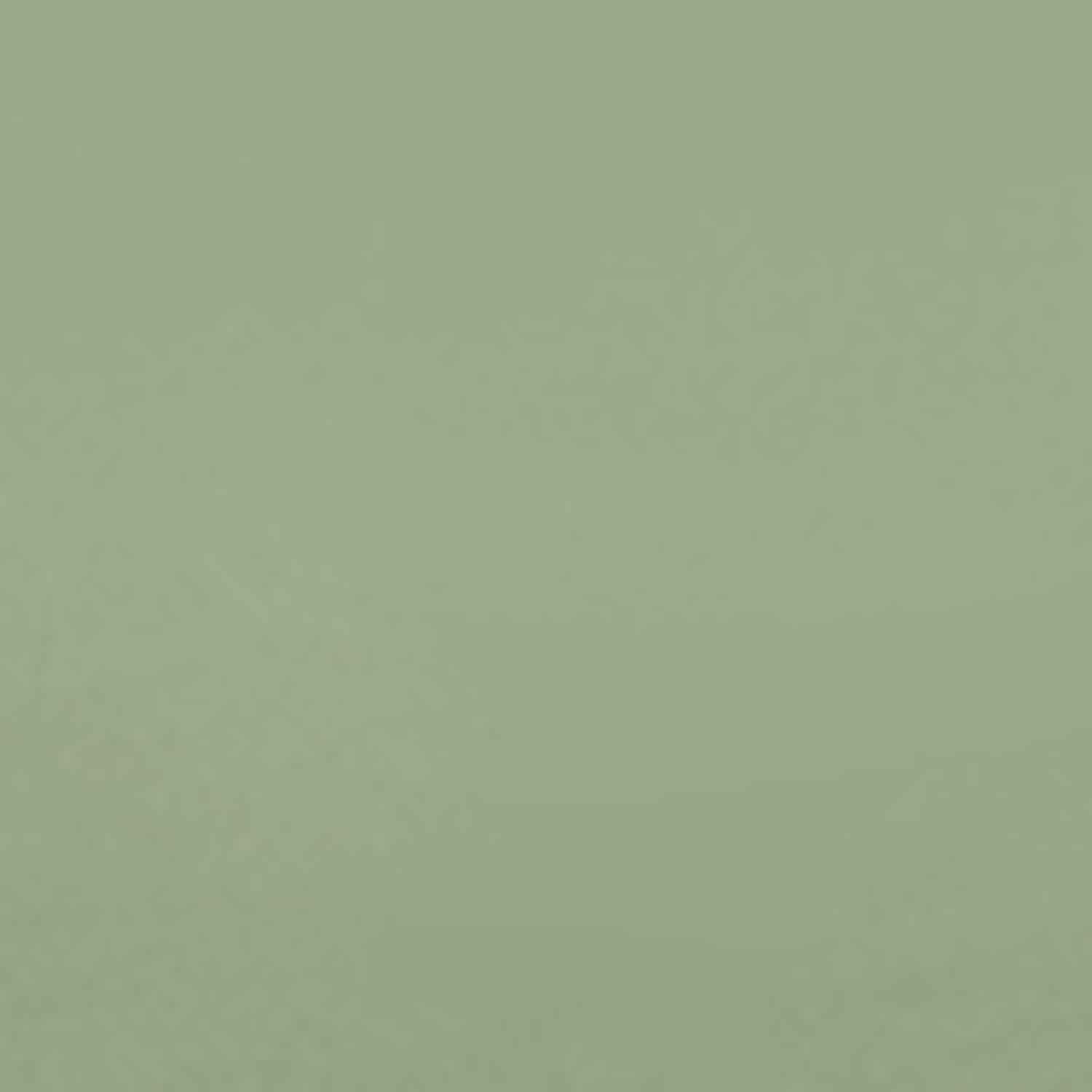 Weber 22 in. 70th Anniversary Kettle Charcoal Grill Diner Green