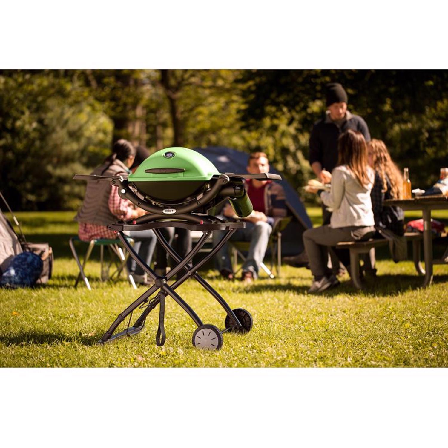 Weber Q1200 1 Burner Liquid Propane Grill Green